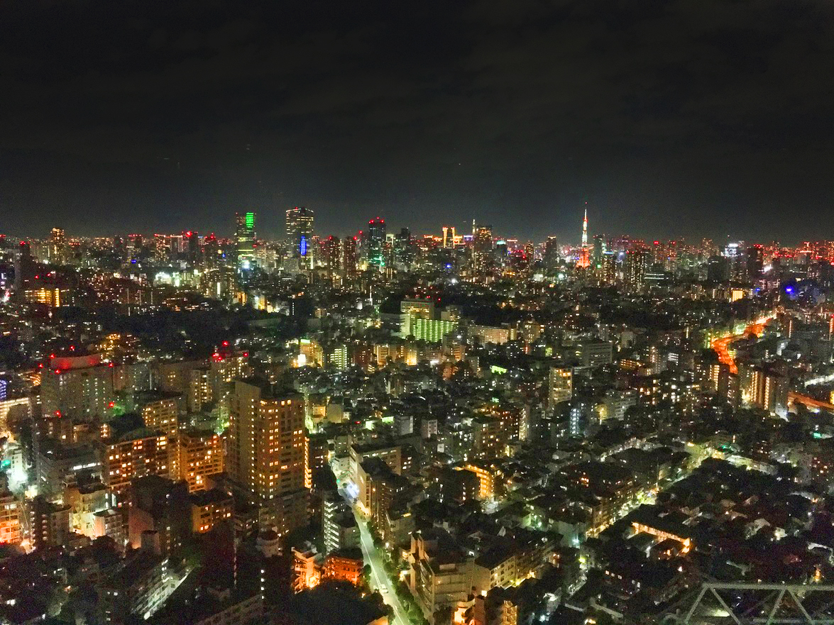 恵比寿ガーデンプレイスタワーから望む夜景
