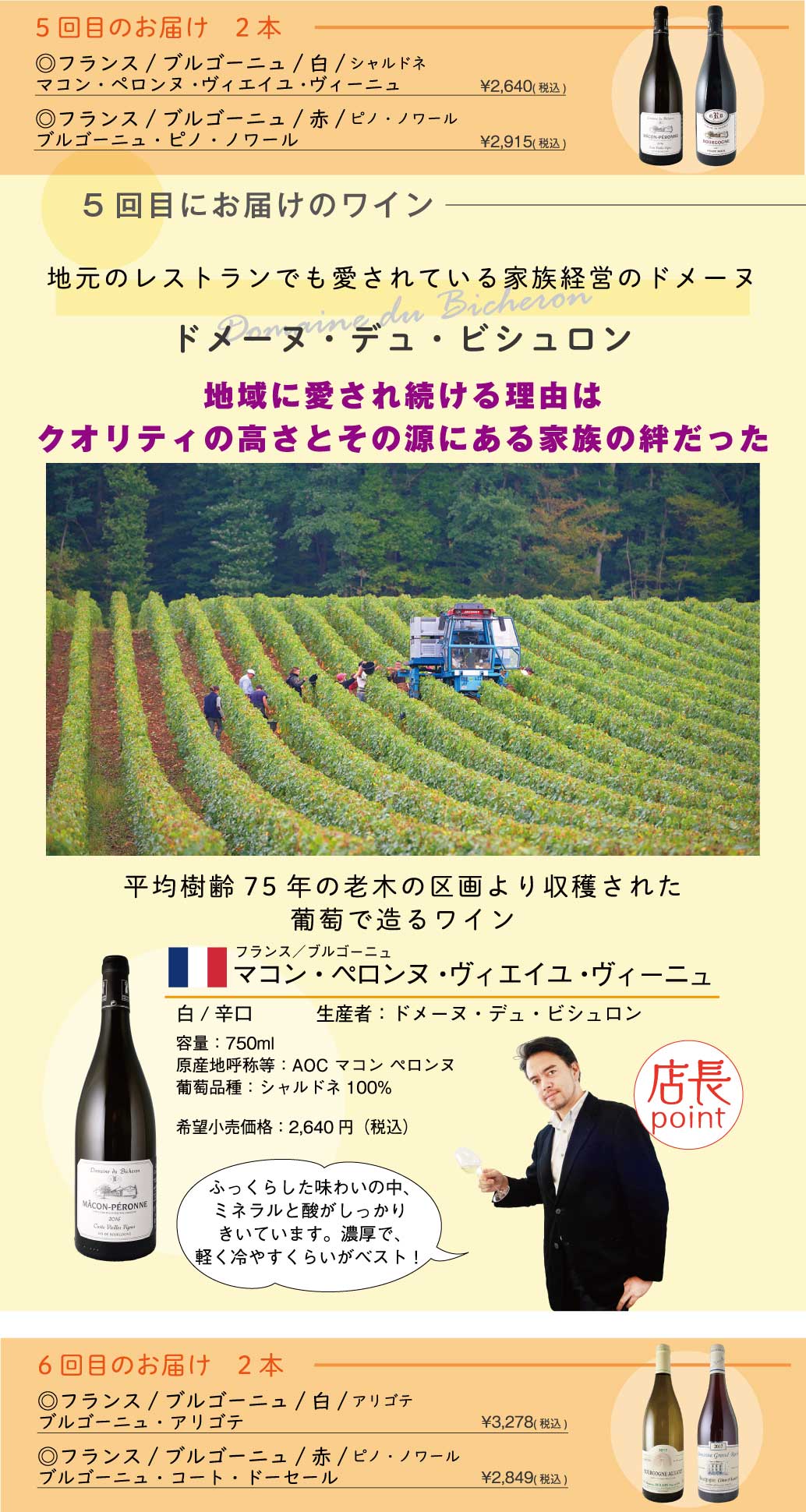ワイン頒布会 フランス3大銘醸地コース
