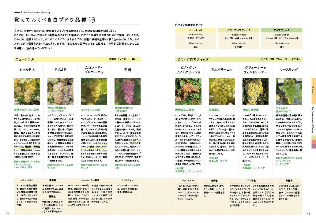 誌面サンプル2